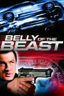 دانلود فیلم Belly of the Beast 2003 ماموریت در تایلند